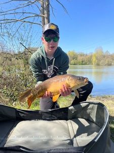 Mirror Carp