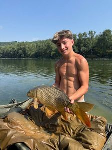 Common Carp