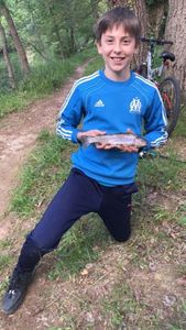 Rainbow Trout