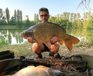 Common Carp