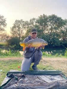 Mirror Carp