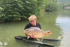 Mirror Carp