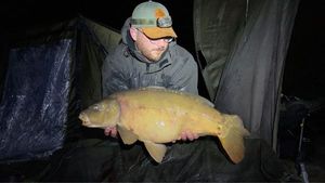 Mirror Carp