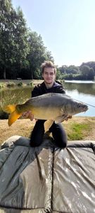 Mirror Carp