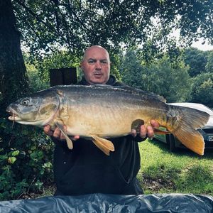 Mirror Carp