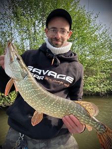Northern Pike