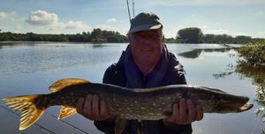 Northern Pike