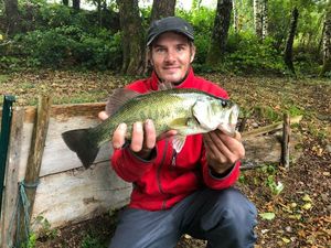 Largemouth Bass