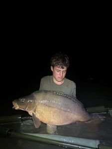Mirror Carp