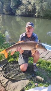 Barbel