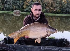 Mirror Carp