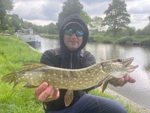 Northern Pike
