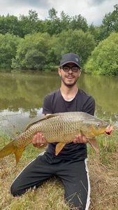 Common Carp