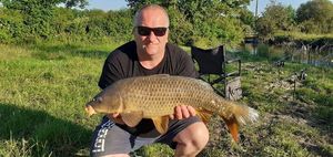 Common Carp