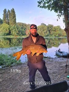 Common Carp
