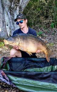 Mirror Carp