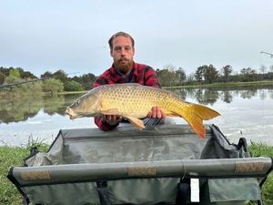 Common Carp