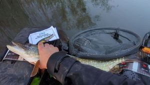 Northern Pike