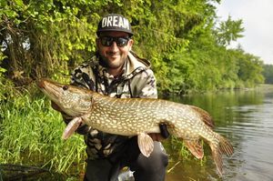 Northern Pike