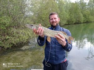 Northern Pike