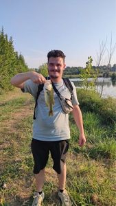 Largemouth Bass