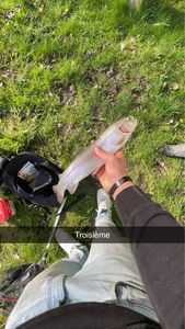 Rainbow Trout