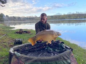 Mirror Carp
