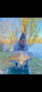 Leather Carp