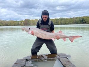 Sturgeon