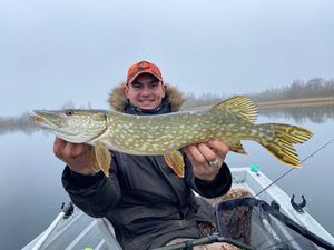 Northern Pike