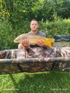 Mirror Carp