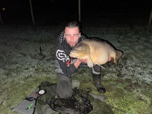 Mirror Carp