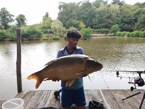 Mirror Carp