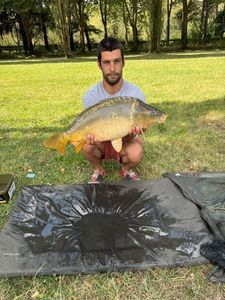 Mirror Carp