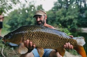 Common Carp