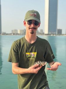 Brown Grouper (Dusky)