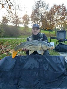 Common Carp