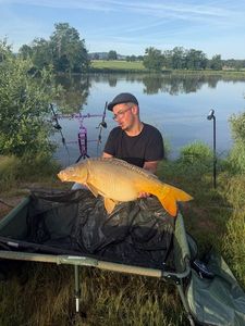 Mirror Carp