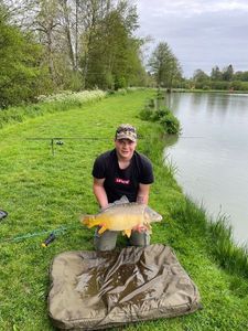 Mirror Carp