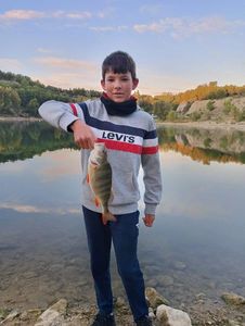 European Perch