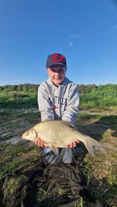 Common Bream