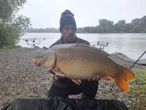 Mirror Carp