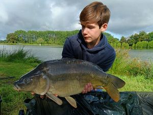 Mirror Carp