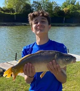 Mirror Carp