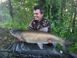 Grass Carp