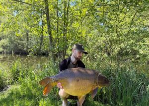Common Carp