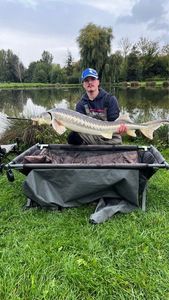 Sturgeon