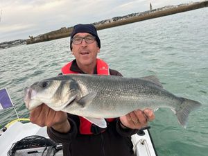 European Bass (Seabass)
