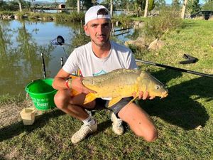 Mirror Carp
