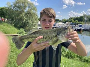 Largemouth Bass